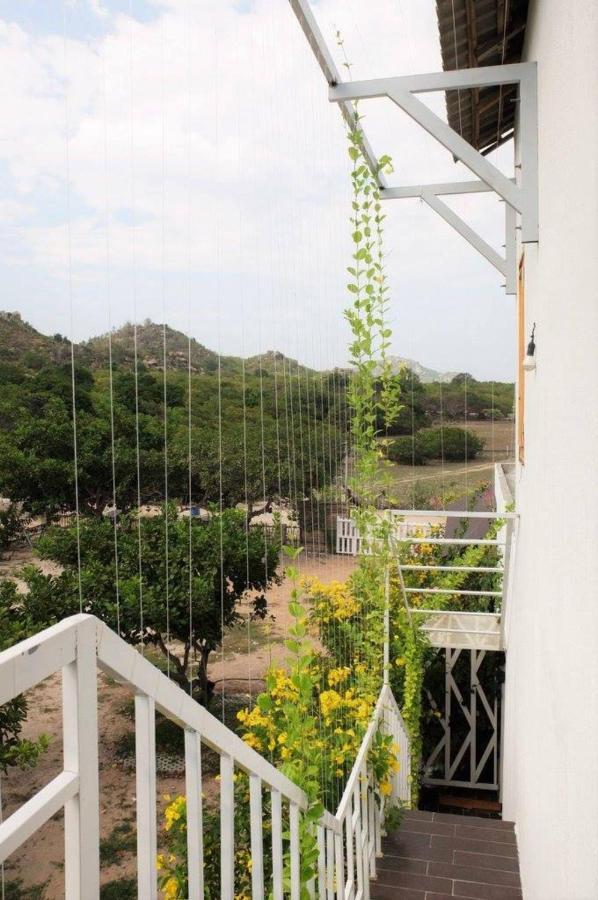 Villa Dao Hoa Vang Cam Ranh - Venuestay المظهر الخارجي الصورة